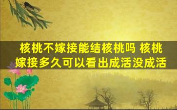 核桃不嫁接能结核桃吗 核桃嫁接多久可以看出成活没成活